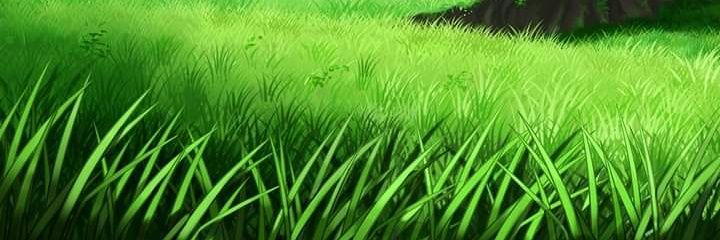 carfosos's profile banner image