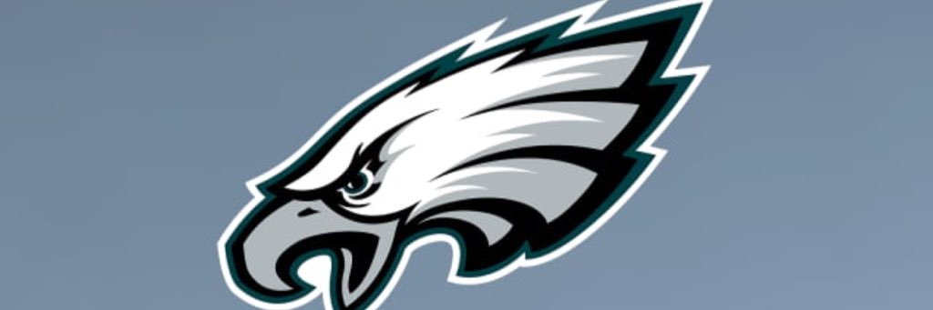 starshipeagles's profile banner image