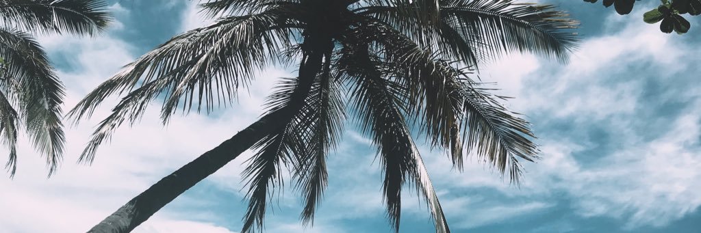 NicoMoreno07's profile banner image