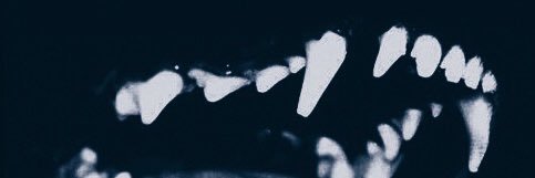 WanPoppi's profile banner image