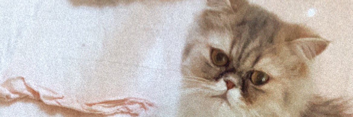 Chloegray312's profile banner image