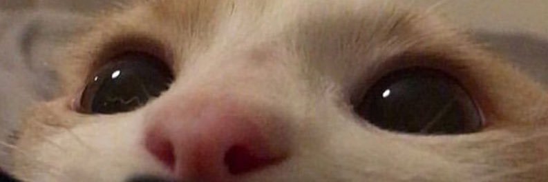 Mkmkmoan's profile banner image