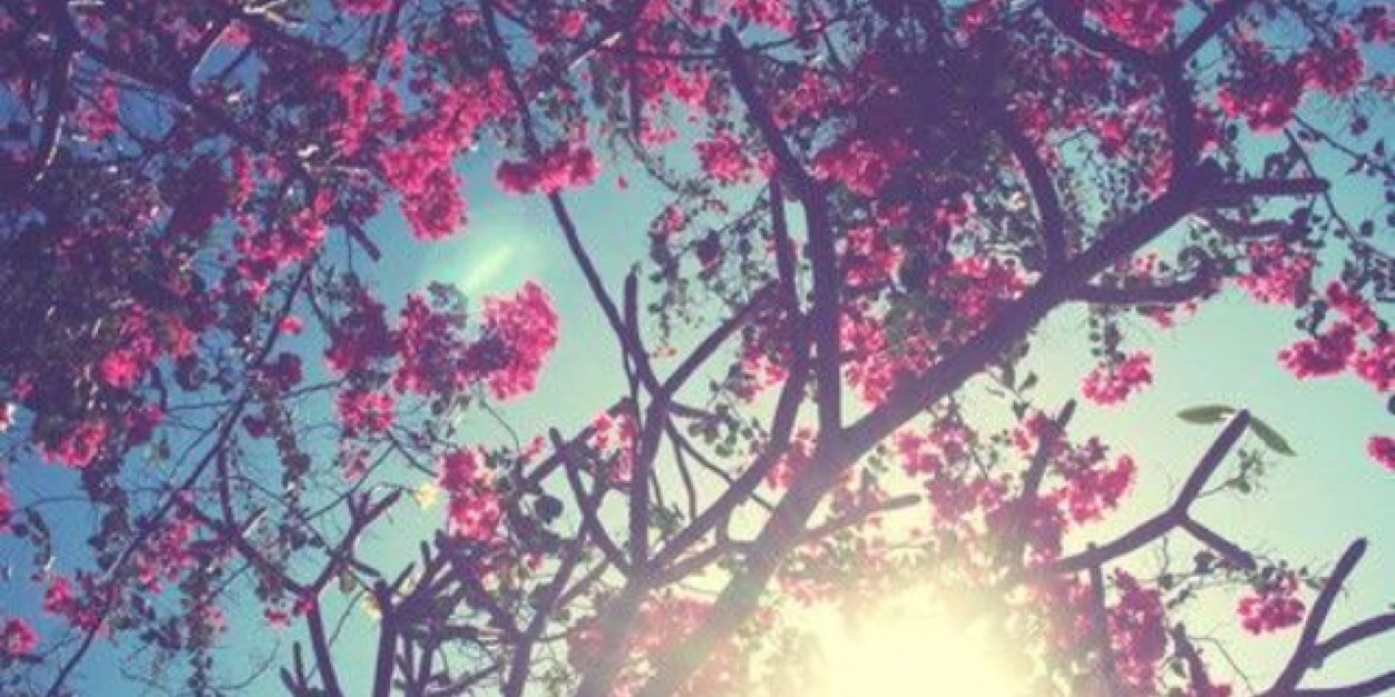 laurengee76's profile banner image