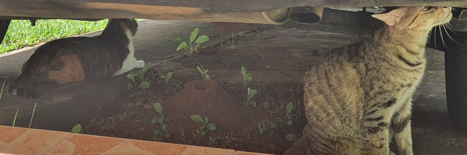 Juanklf1's profile banner image