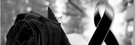 opinionlibre85's profile banner image