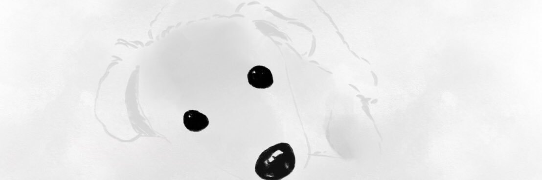 n_kanoo's profile banner image