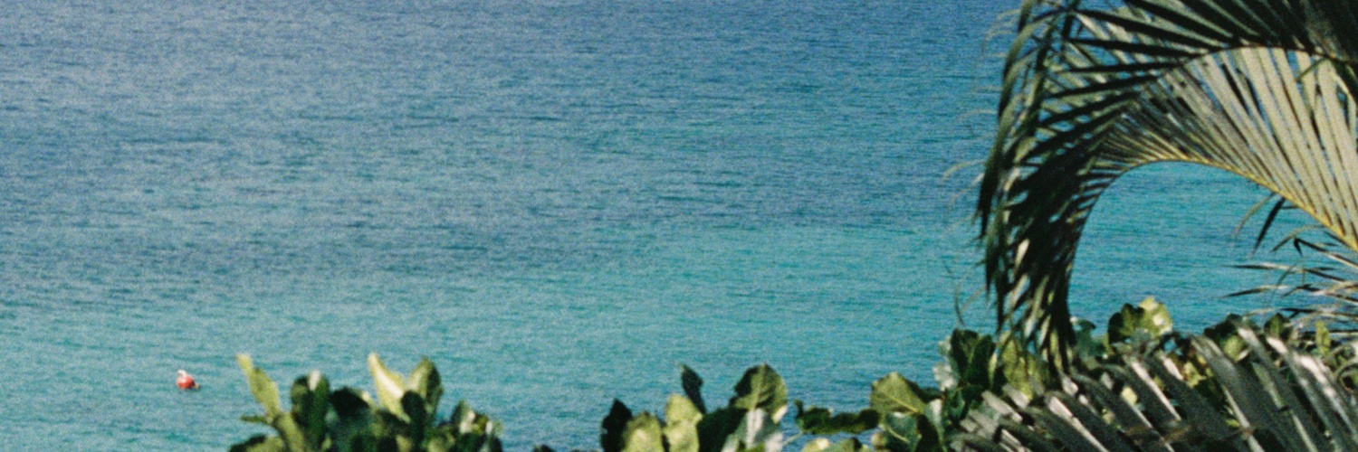trynh714's profile banner image