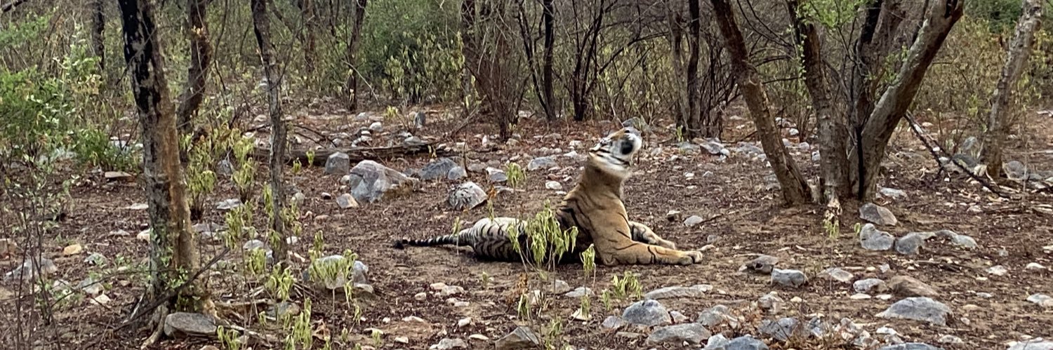 Suraj Kr. Singh banner