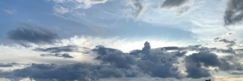 venomenal_'s profile banner image
