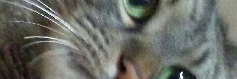 dbalmes's profile banner image