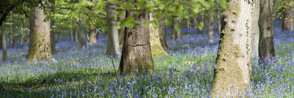 VisitDeanWye Profile Banner