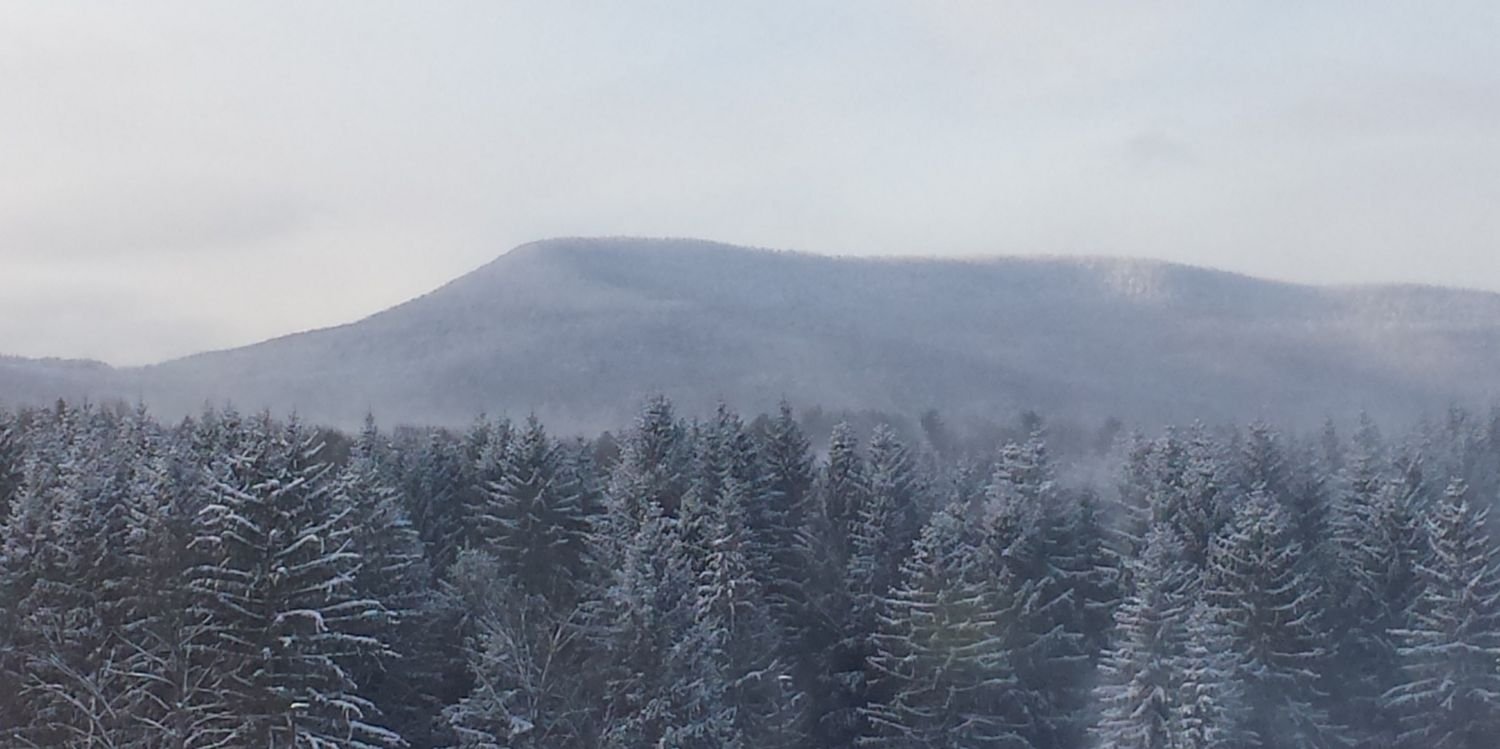 sledneck962's profile banner image