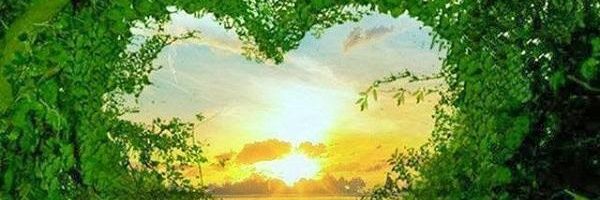 Cami_Angeles_'s profile banner image