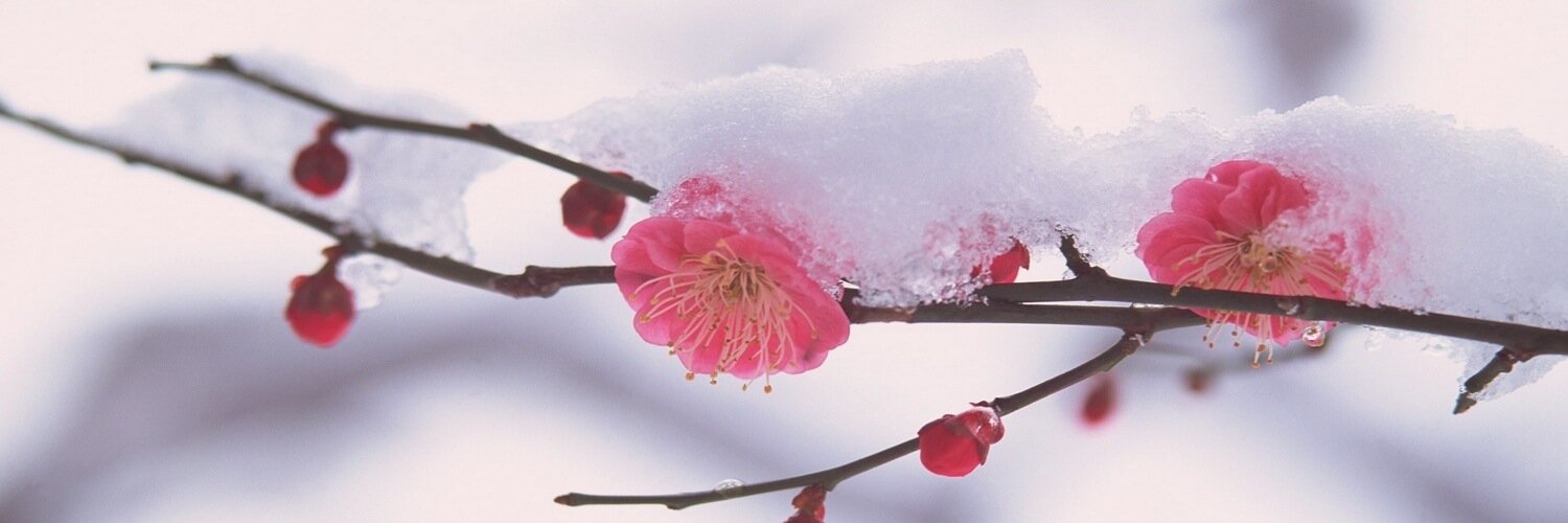 5secsofiirwin's profile banner image