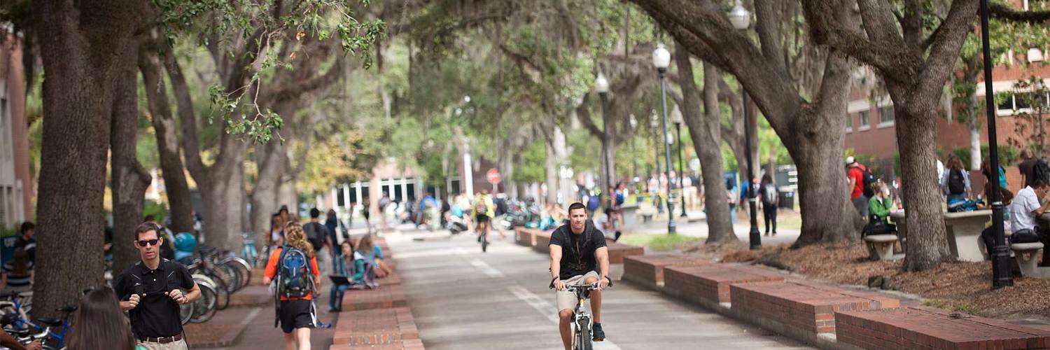 Gainesville, Florida banner