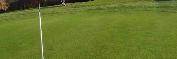 Golfingteddy Profile Banner