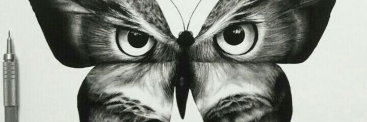 intraverso's profile banner image