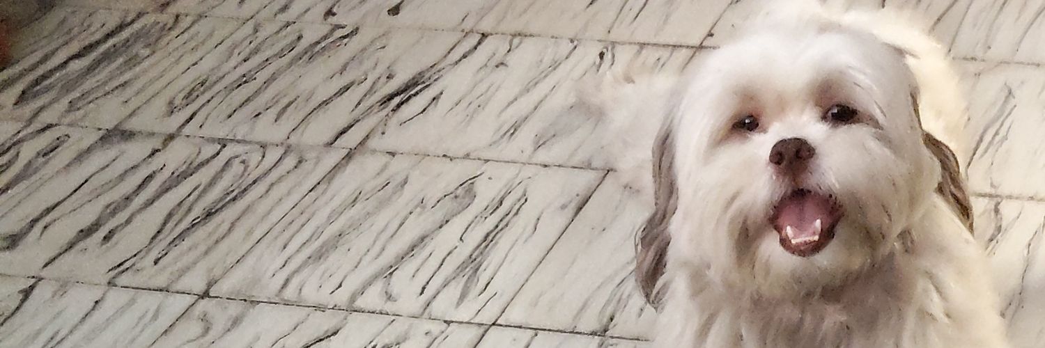 stefania_ml's profile banner image