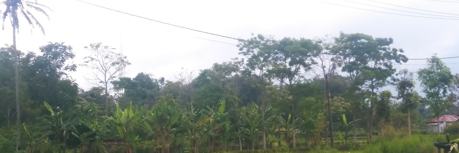 brogaster's profile banner image