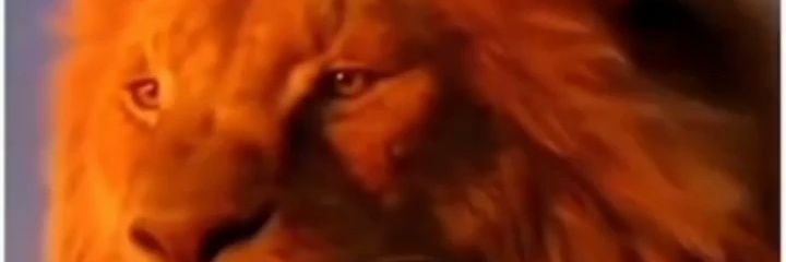 alesluys's profile banner image