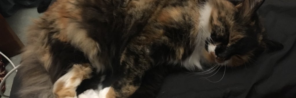 _cazr's profile banner image