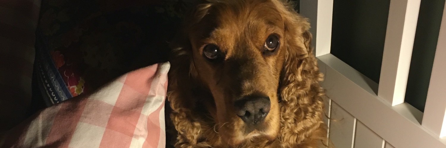 Mark Eyles #VotedYes banner