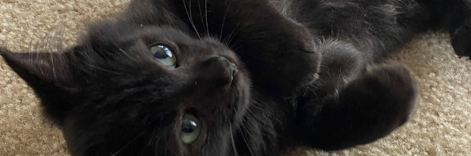 traderjaes_'s profile banner image