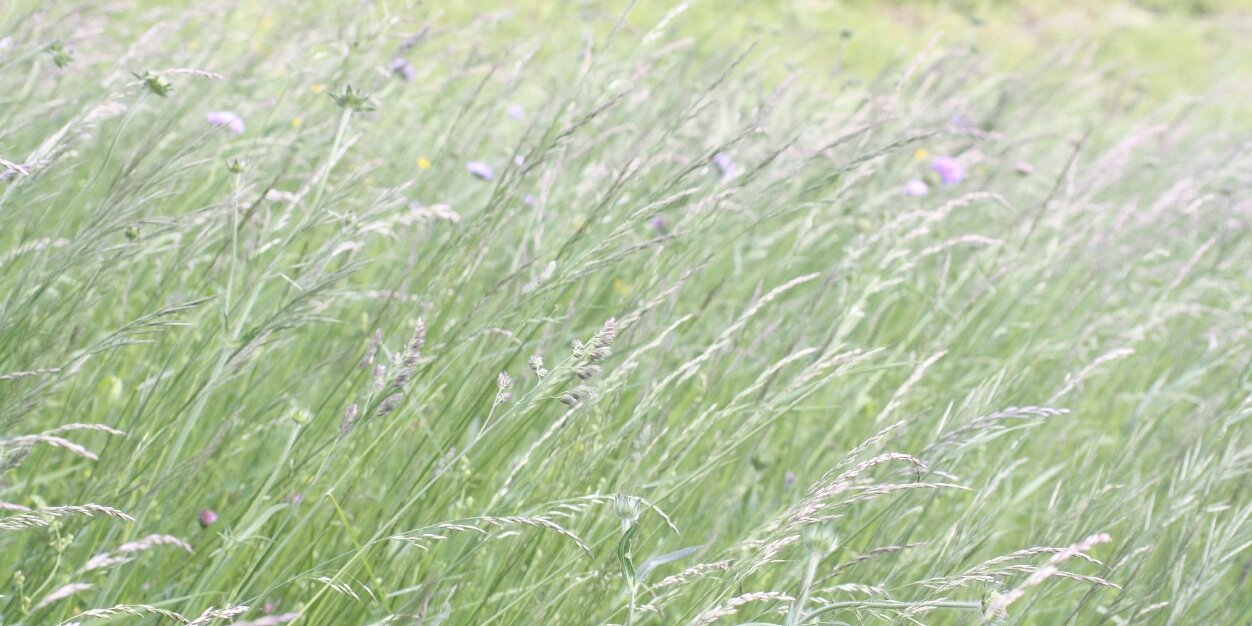 LucAlbert9's profile banner image