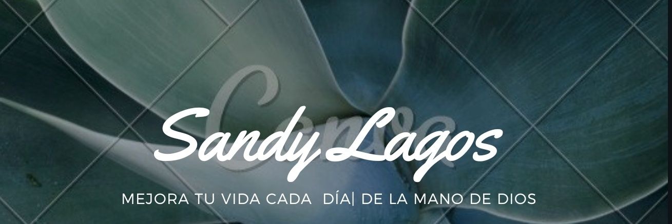 sandylagos504's profile banner image