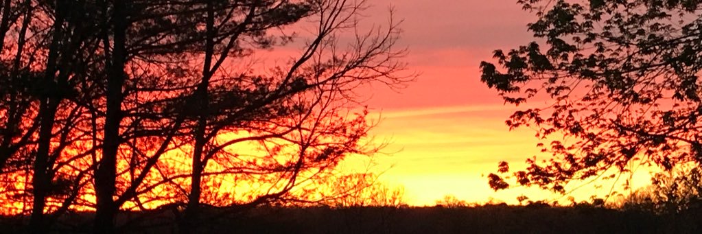 25HeatherHart's profile banner image