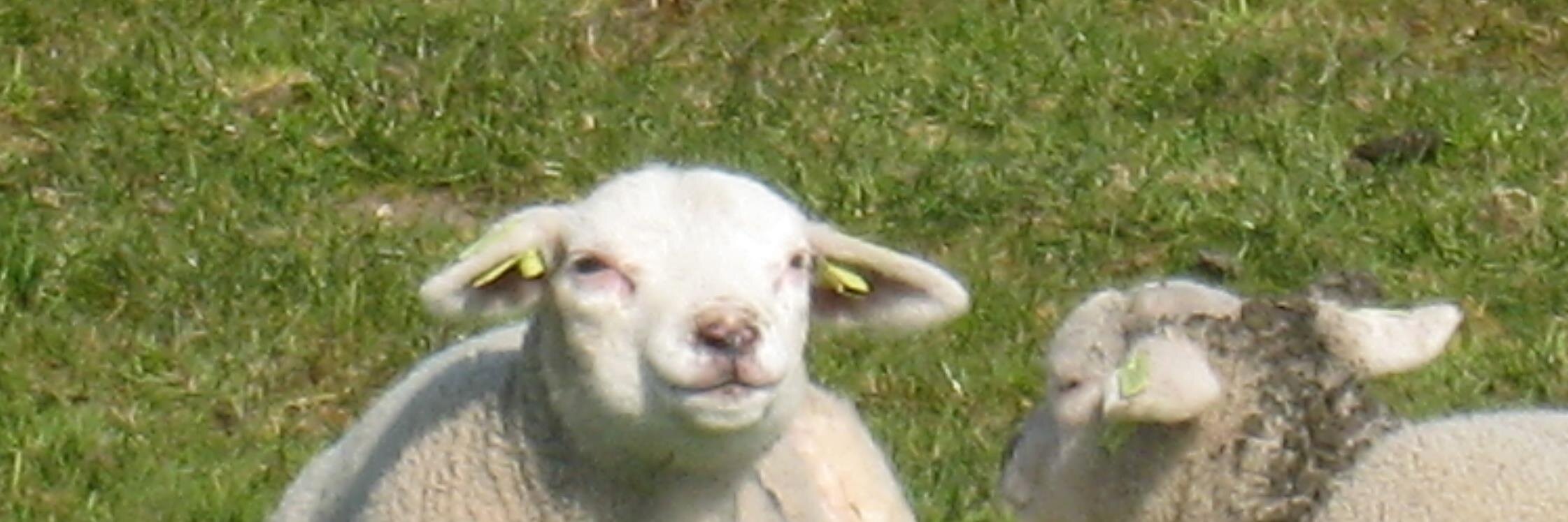 Peerketexel's profile banner image