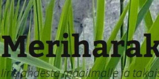 Meriharakka1's profile banner image