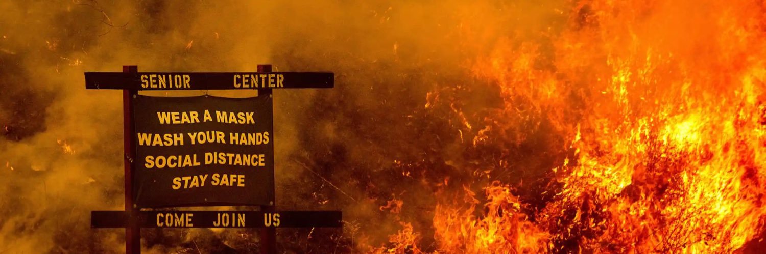 Jane Watson banner