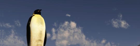 stankoretski's profile banner image
