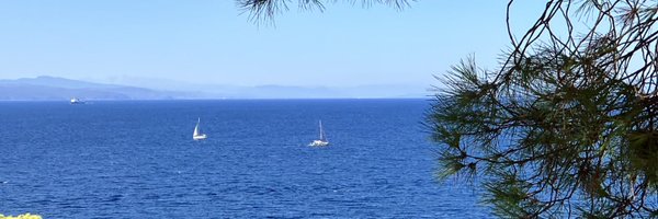 hellywellytaff Profile Banner
