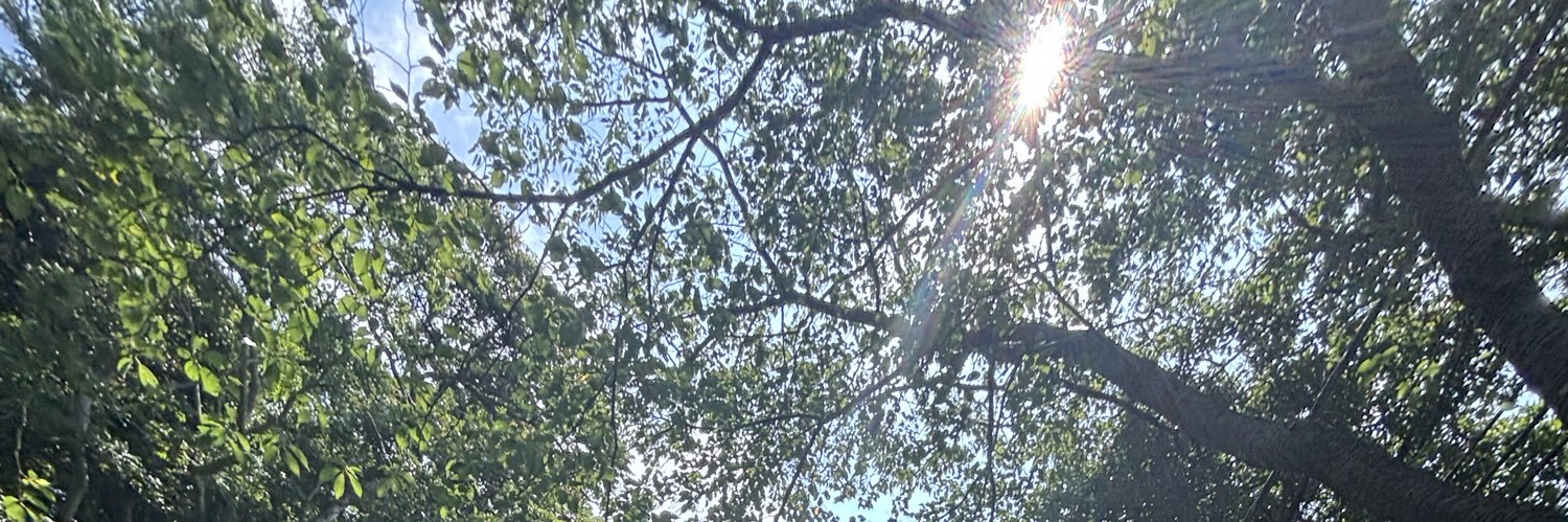 oosui15's profile banner image