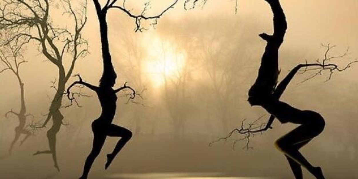 Thea244's profile banner image