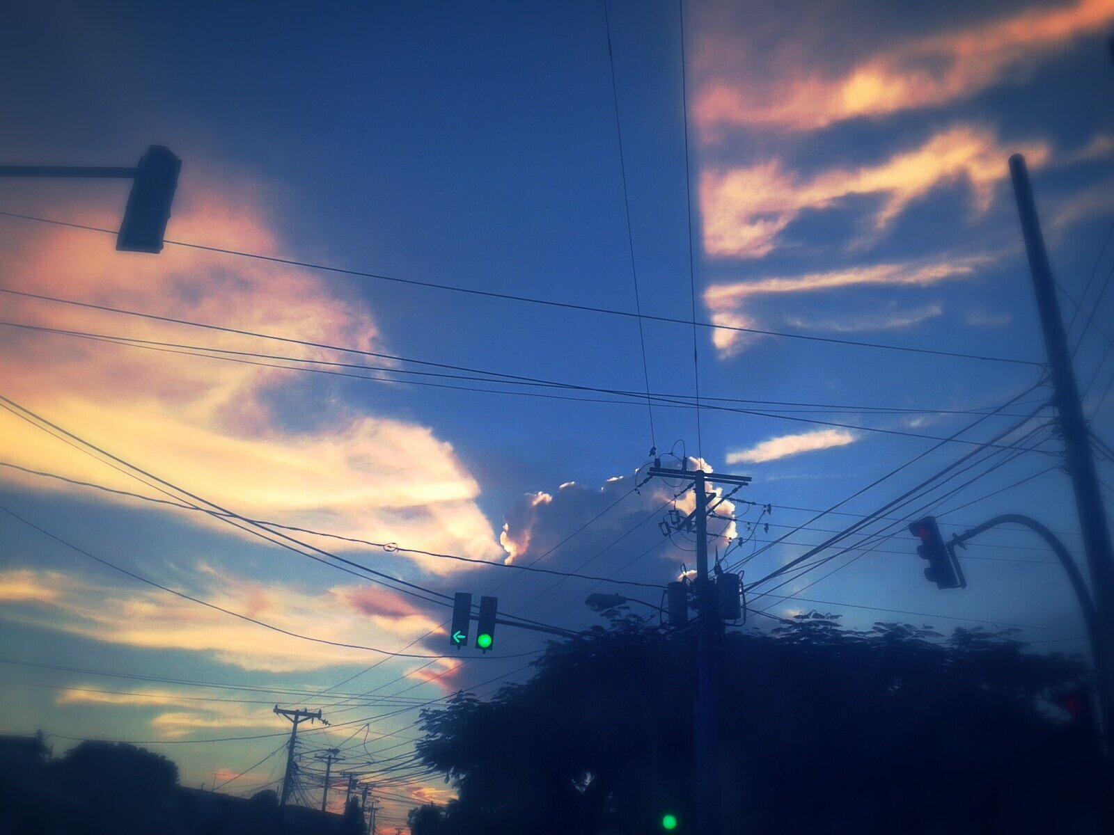 Raúl Forde Jr. banner