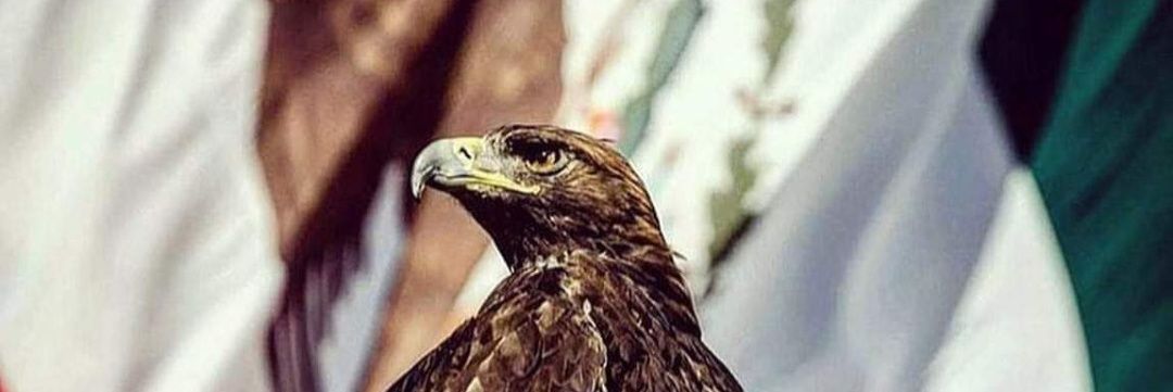 Barenke91's profile banner image