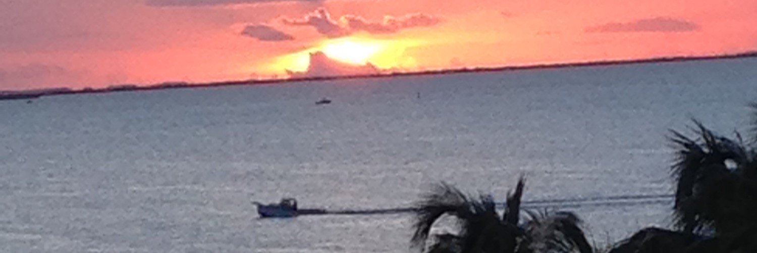 MaryAnneMorro's profile banner image