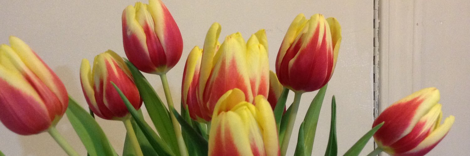 jul1etcapulet's profile banner image