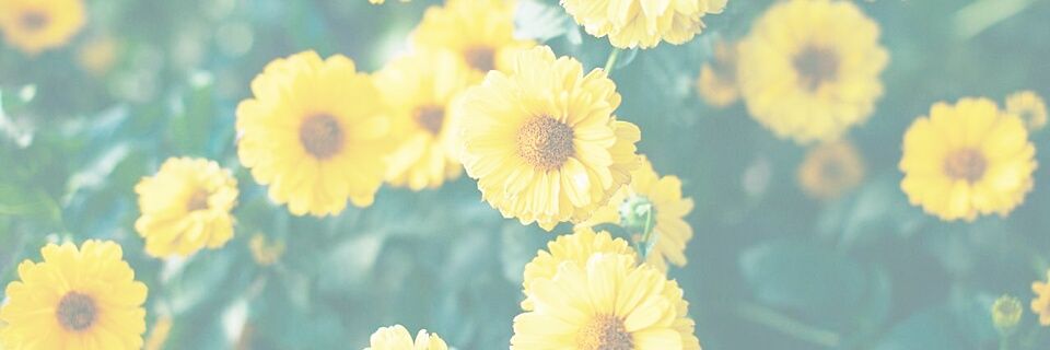 25_25mchan's profile banner image
