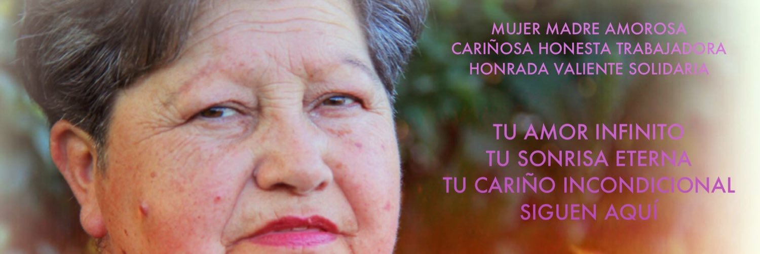 nanuk_go's profile banner image