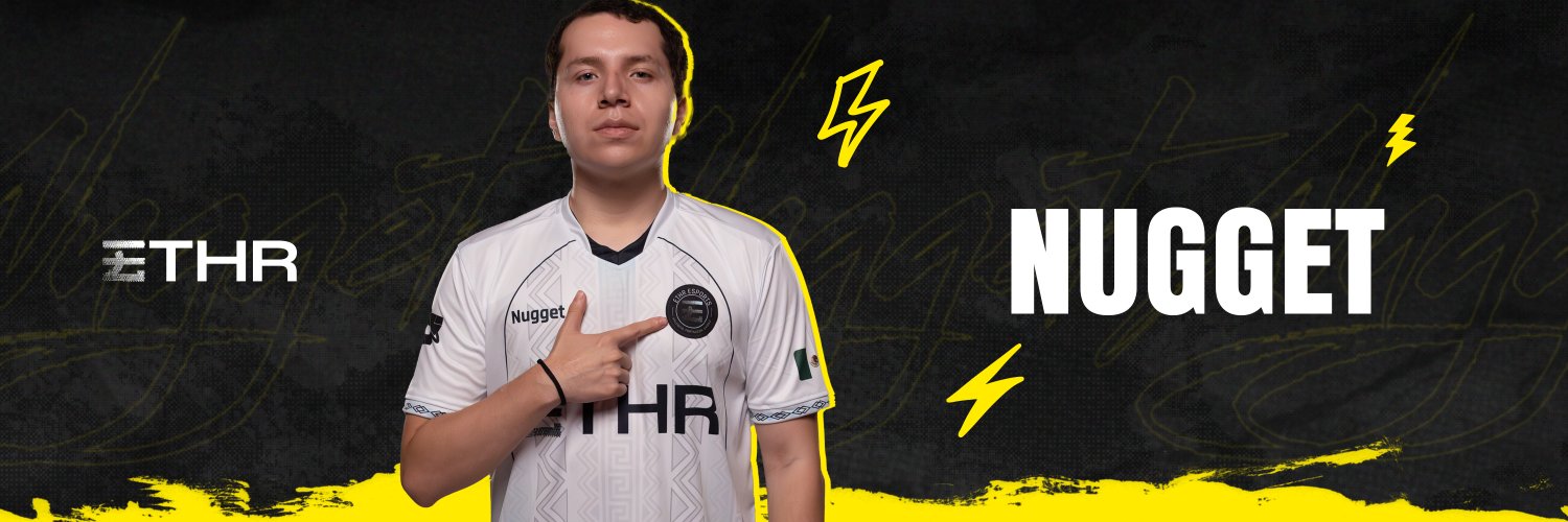 Nugget_FPS's profile banner image