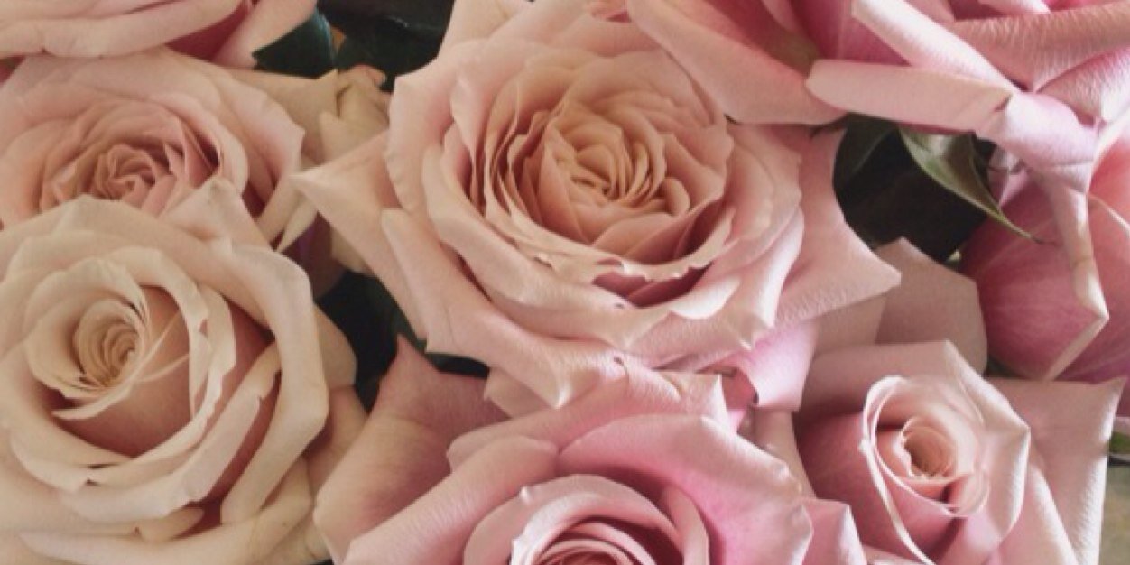 K_ATCH's profile banner image