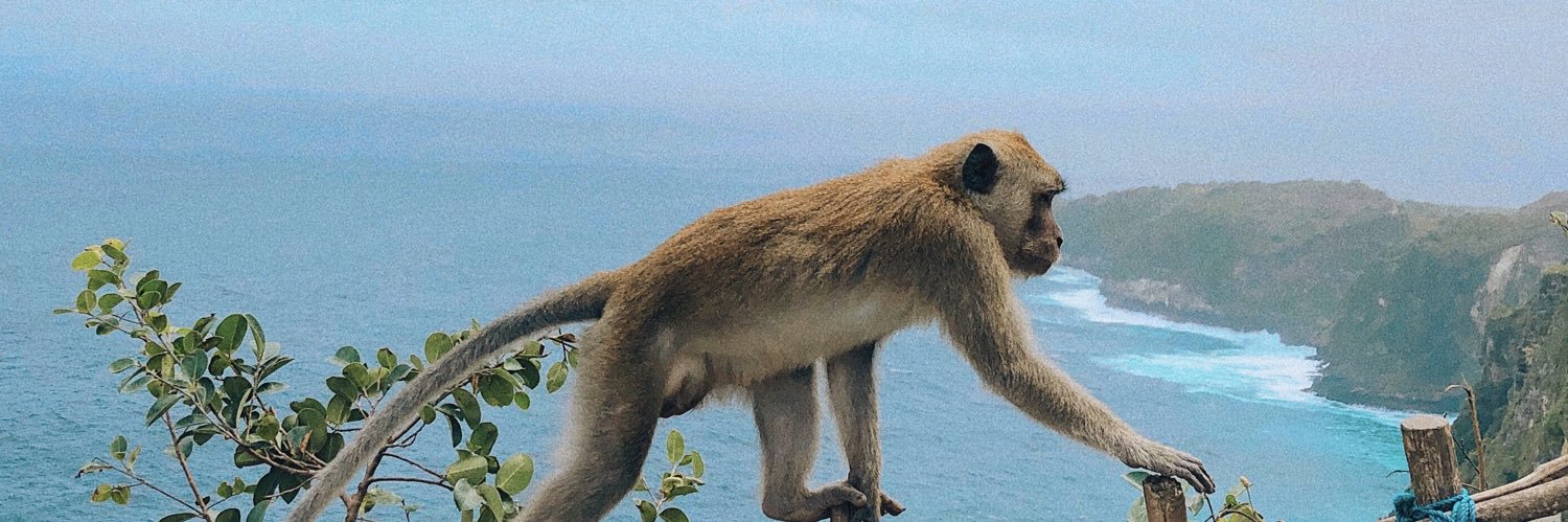 kong_gon's profile banner image