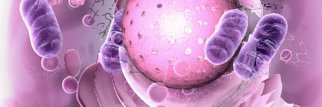 shikotu's profile banner image