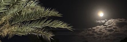 abanmydoul's profile banner image