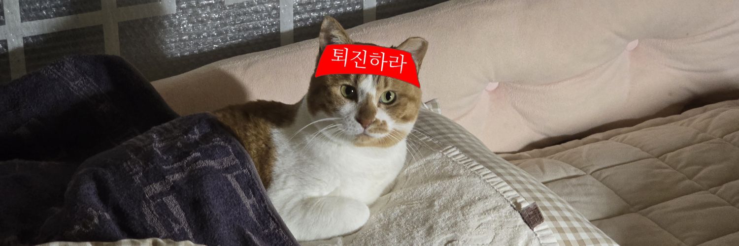 dangunhalmae's profile banner image