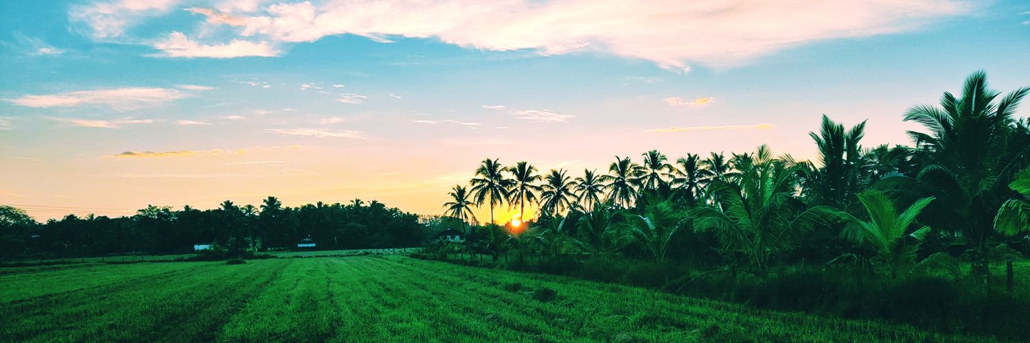sunxez's profile banner image